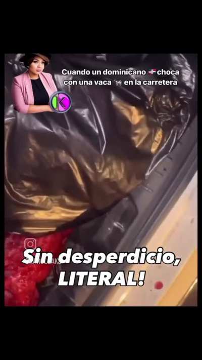 Estoicismo dominicano