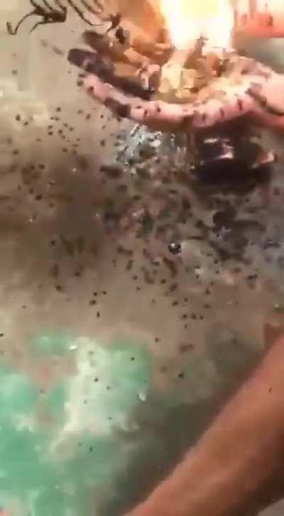 Older man beat the shit out of younger guy