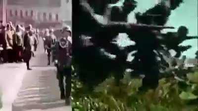 How can a wehraboo be so basic and generic that they came up with a video this basic and generic? (found on r/ww2memes)