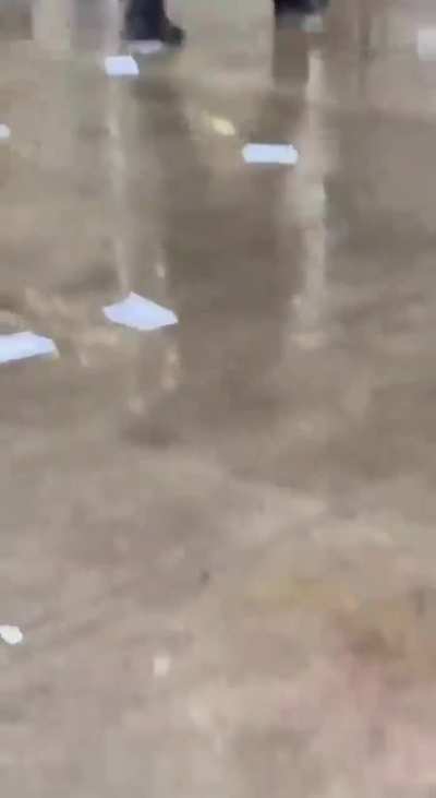 Hoy varios grupos kirchneristas salieron a protestar a distintos lugares.... mientras que uno de ellos era un coto gritaban 