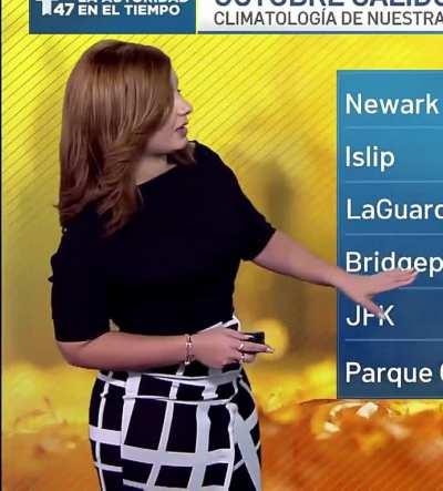 Tairy Ynoa - Meteorologist for Telemundo 47 New York