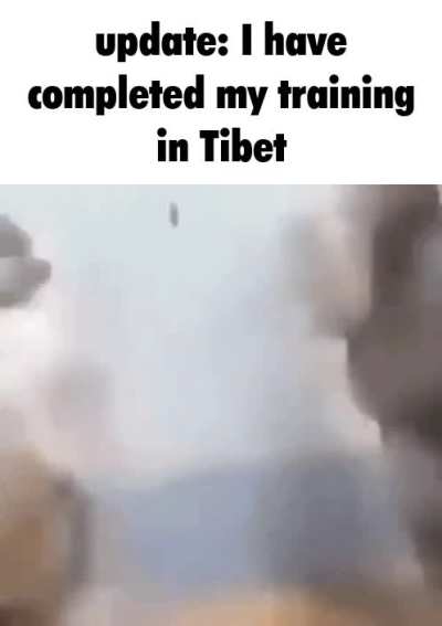 cat of the hour [17/24]