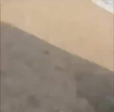 This if he is a policeman committed to his work