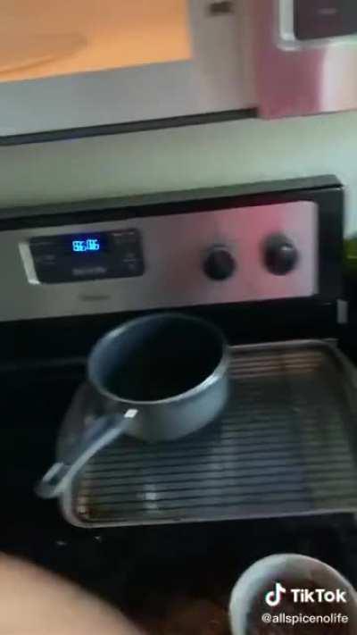 Dog only eats food when its 