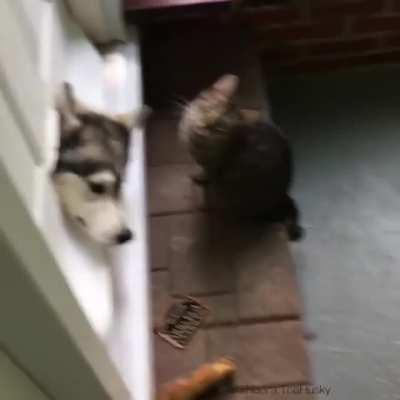 There seems to be a problem with my door