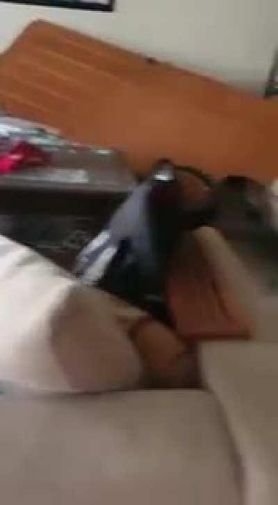 After Effects of the Blast