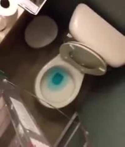 Wordington DudePerfect