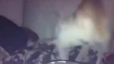 Muito emocionante 😭