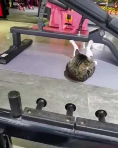 Тренировка