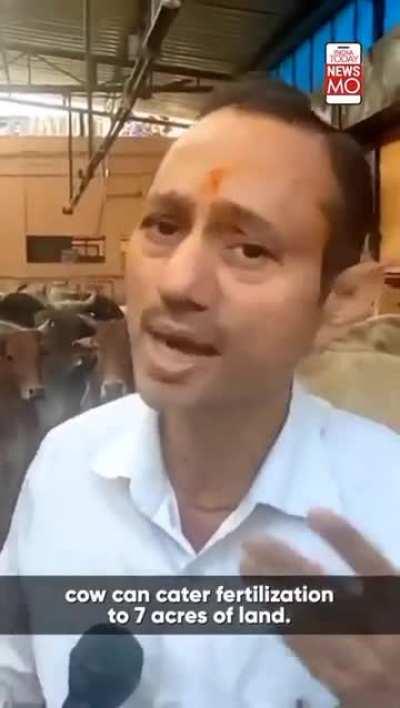 Haryana doctor recommends eating cow dung to pregnant women and he eats too 