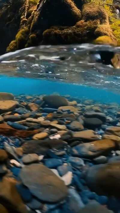 🔥 Perfect view of glacial waters in Norway
