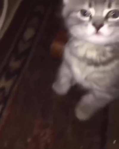 foi silenciado antes de revelar a verdade...