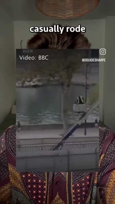 Most normal Vlad contract be like: