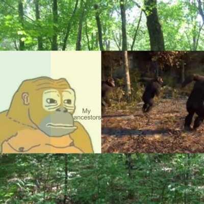 Quadrant unities discuss their ancestors