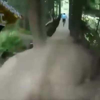 Cycling down a dangerous path to crash land