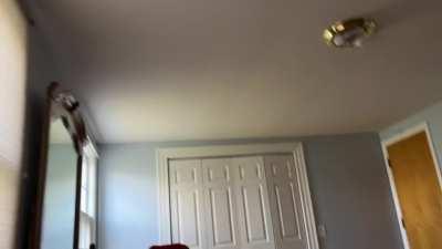 Recreation of the strangest dream I've ever had