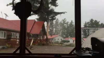 Awesome lightning strike on a pine!