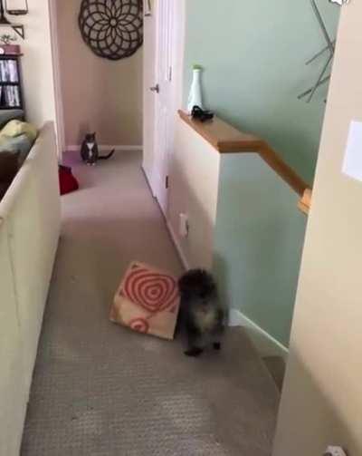 That de-escalated and re-escalated quickly.