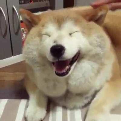 Happy toasted marshmallow