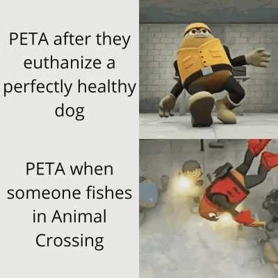 PETA bad