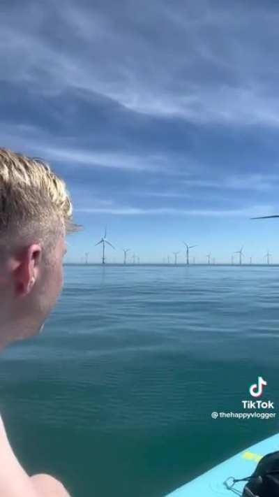 Something about this feels slightly unnerving.