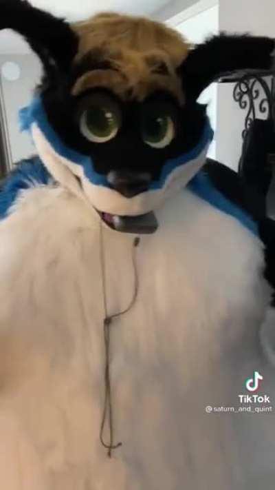 Noah get the aircraft carrier.