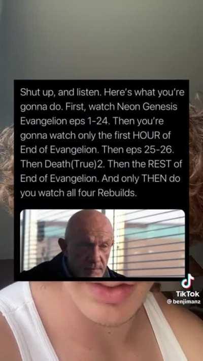 evangelionmemes - Video #1215