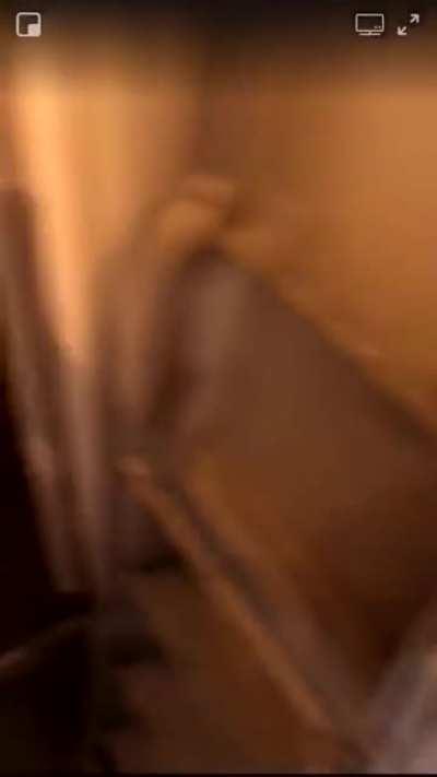 still want to have kids?