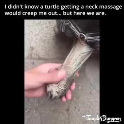 Парень гладит своего дружка.