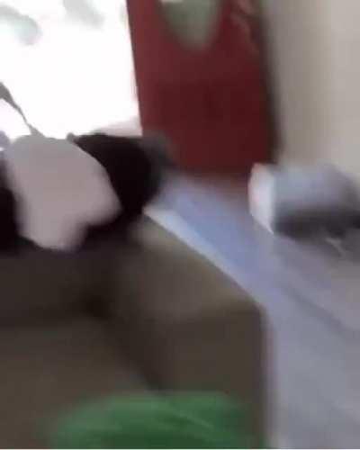 damn nearly decapatayshone