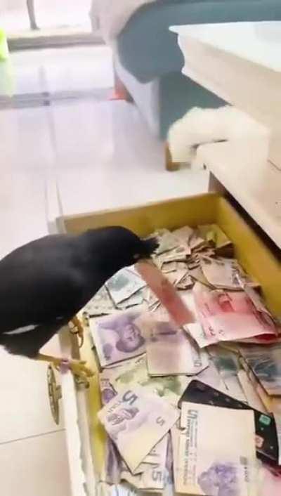 Passive income. hahaha