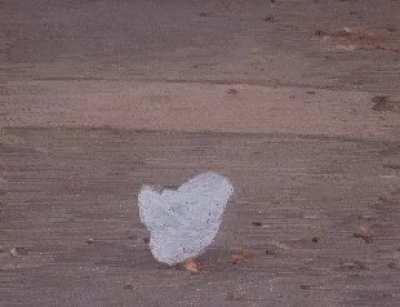 Most exciting day in Singapore