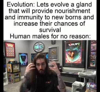 “Gentlemen, I may not have a brain but I’ve got an idea!” -some human ancestor