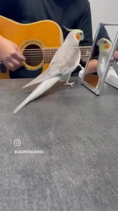 O passinho para o lado é de uma fia da putisse muito grande! Mas é papai!