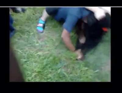 She ran up on the wrong one. 🫣