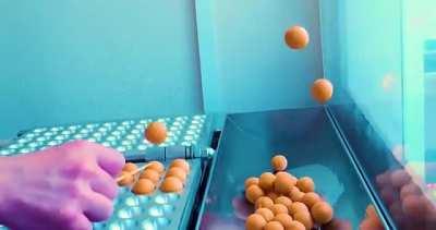 Pon de ring Balls birth