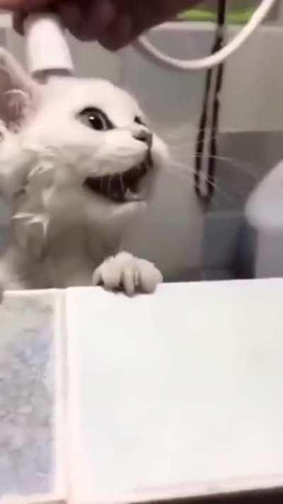 I feel bad for laughing//