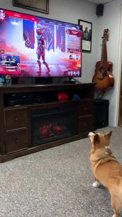 Even my dog is terrified of Revenant in the pregame lobby