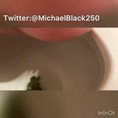 Cute girl shitting on the toilet(@angel.faith on instagram)