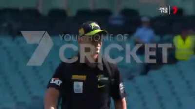 Warner has landed his chopper on the field !! Maaaaassssssss !