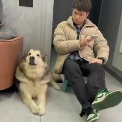 We are in this together