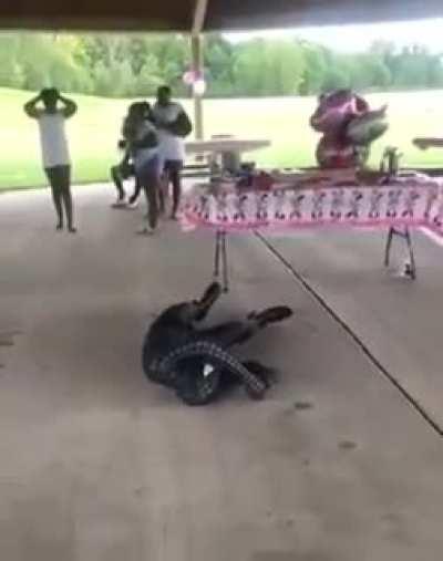 WCGW Trying to be Spider-Man at a party