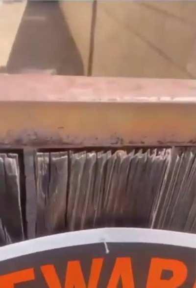 Классика про злую собаку