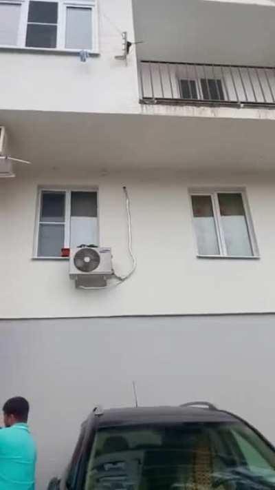 Man catches falling cat