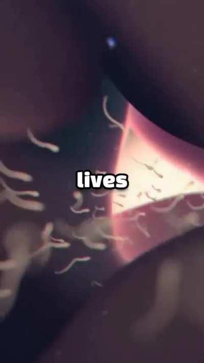 <html> <head> <title> </head>