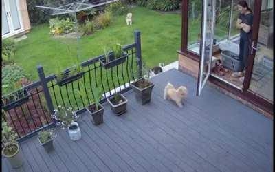 Mom said get inside!