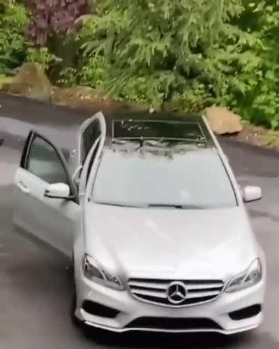 That SpongeBob scream though.