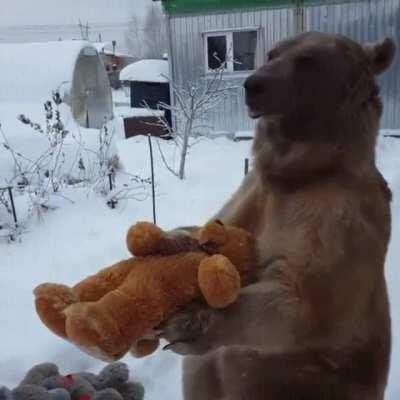 You see comrade, in Russia, bear hold bear with bear as company