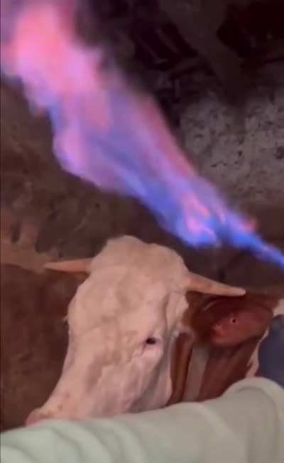 hsawawq123🔥aasdsf