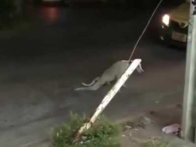 Something a little different